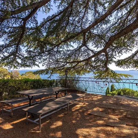 Les Floralies Ii-3 By Interhome Apartment *